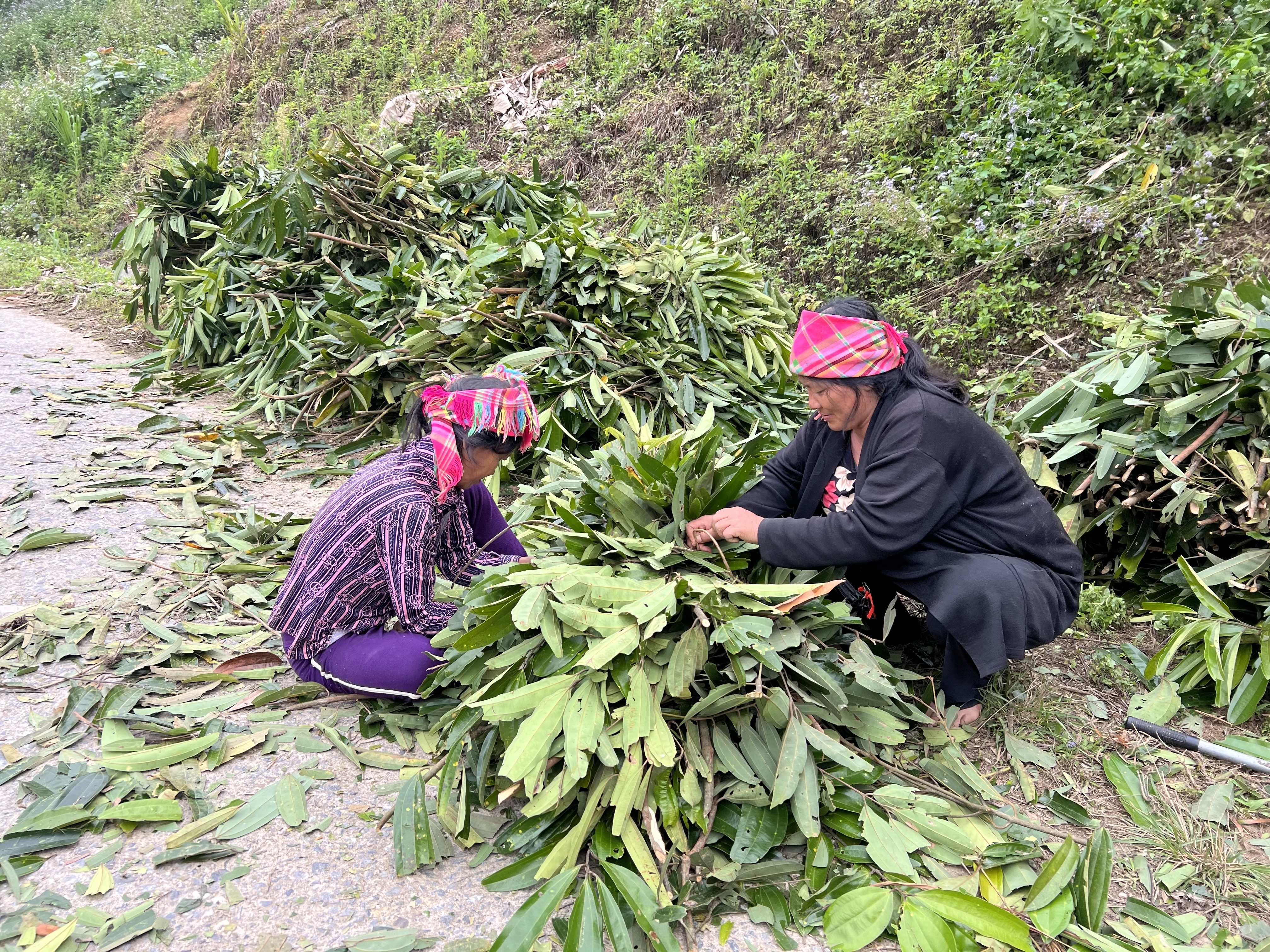 bum Tở