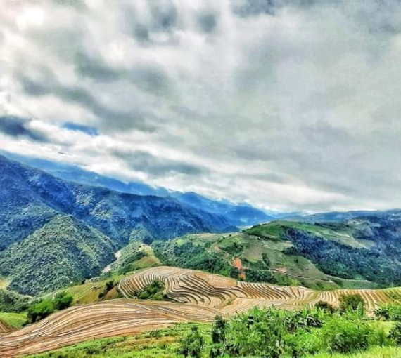 Ruộng bậc thang xã Thu Lũm